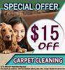 Pro Carpet Houston