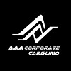 AAA Corporate Car and Limo